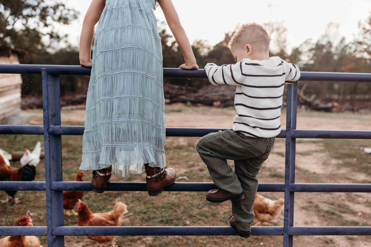two children hang on a fence outside a yard of chickens in a Huntsville, Alabama family photoshoot