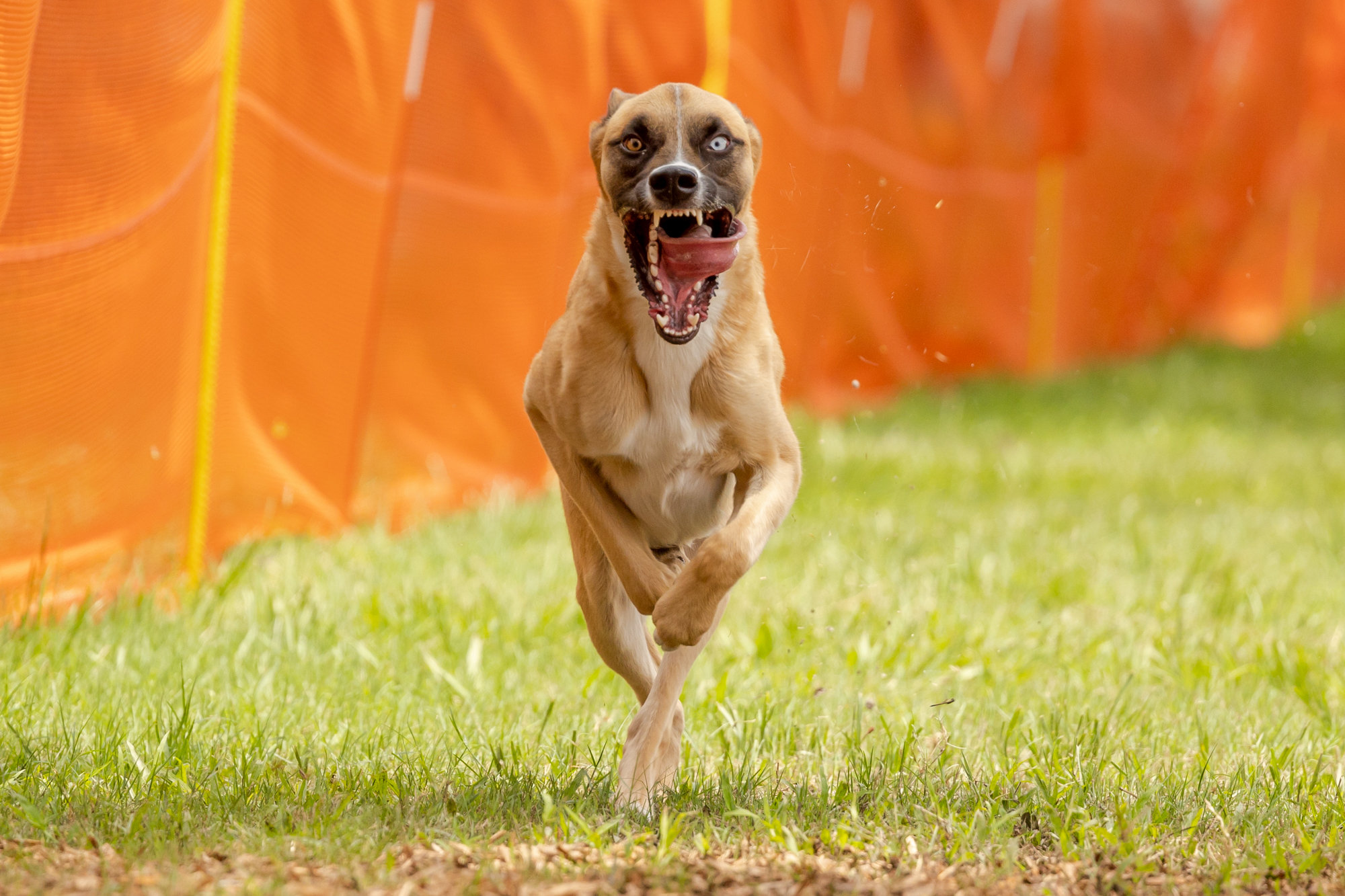 17+ Brian Batista Photography