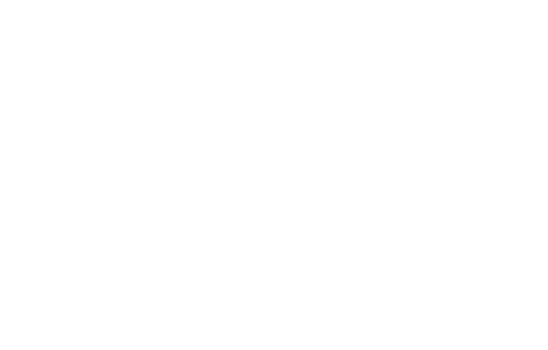 In Bloom Photography Logo