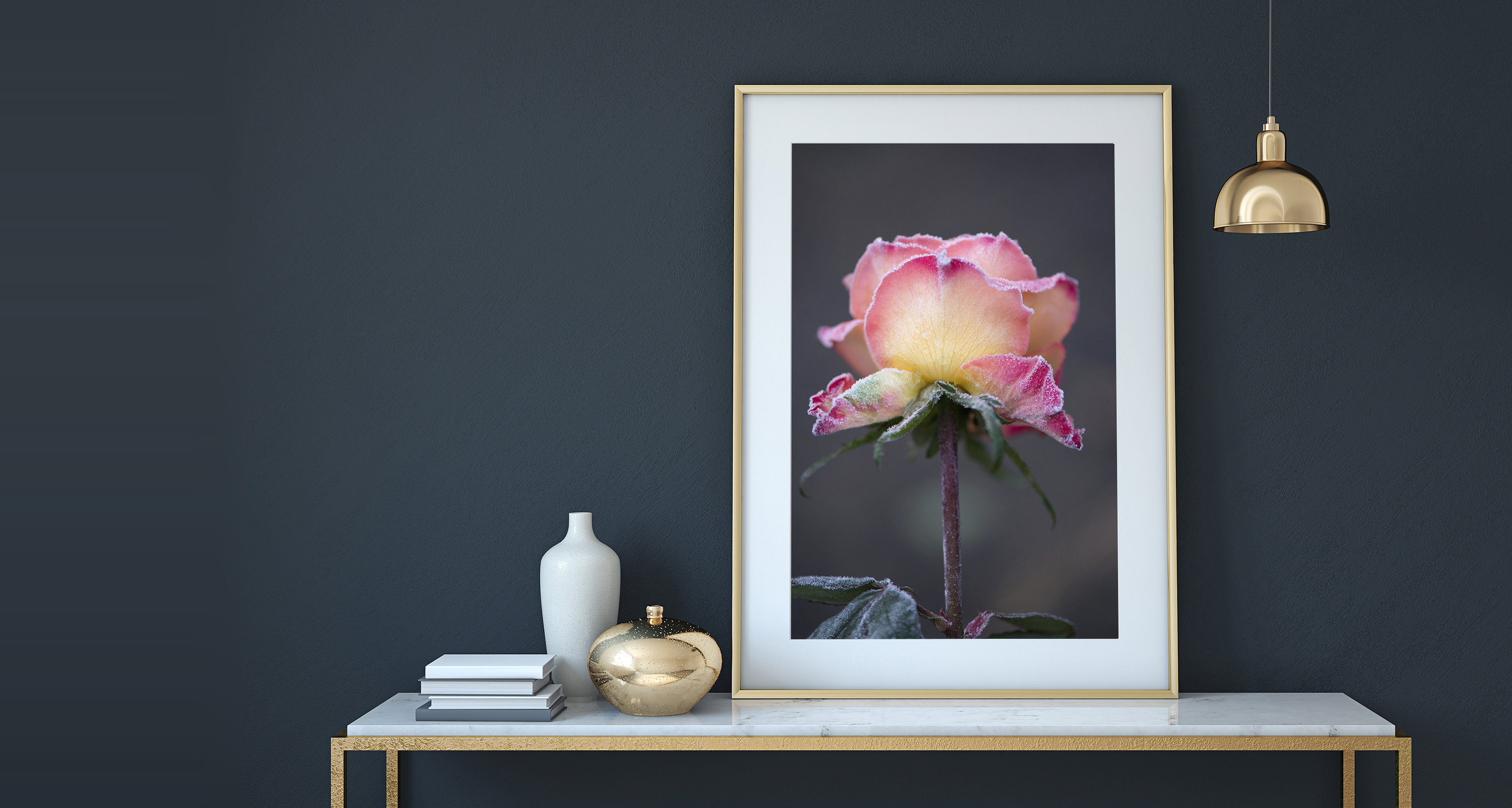 5 ways to celebrate World Photography Day - Susan Phelps