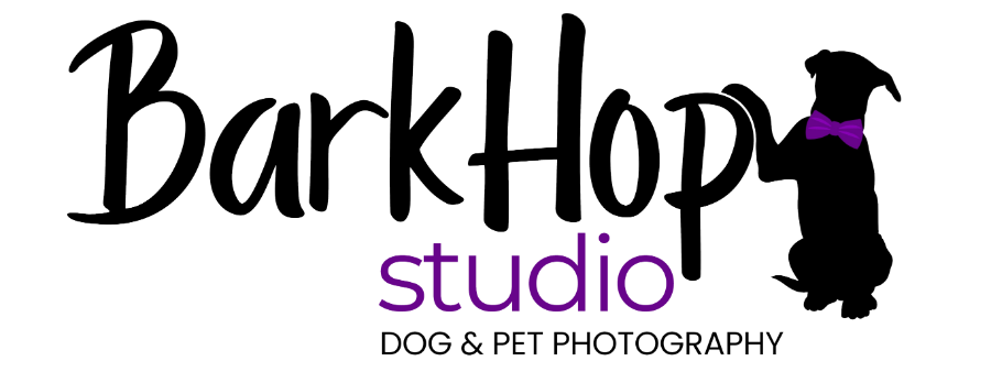 BarkHop Studio Logo