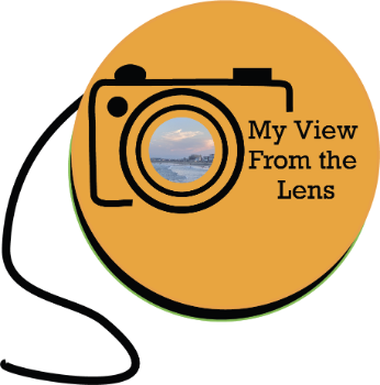 My View From the Lens Logo