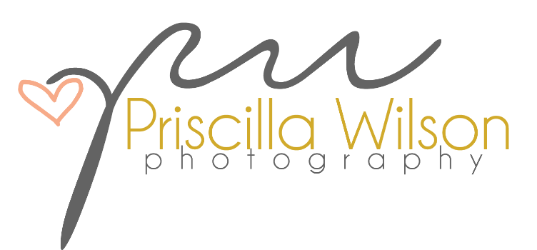 Priscilla Wilson Photography Logo