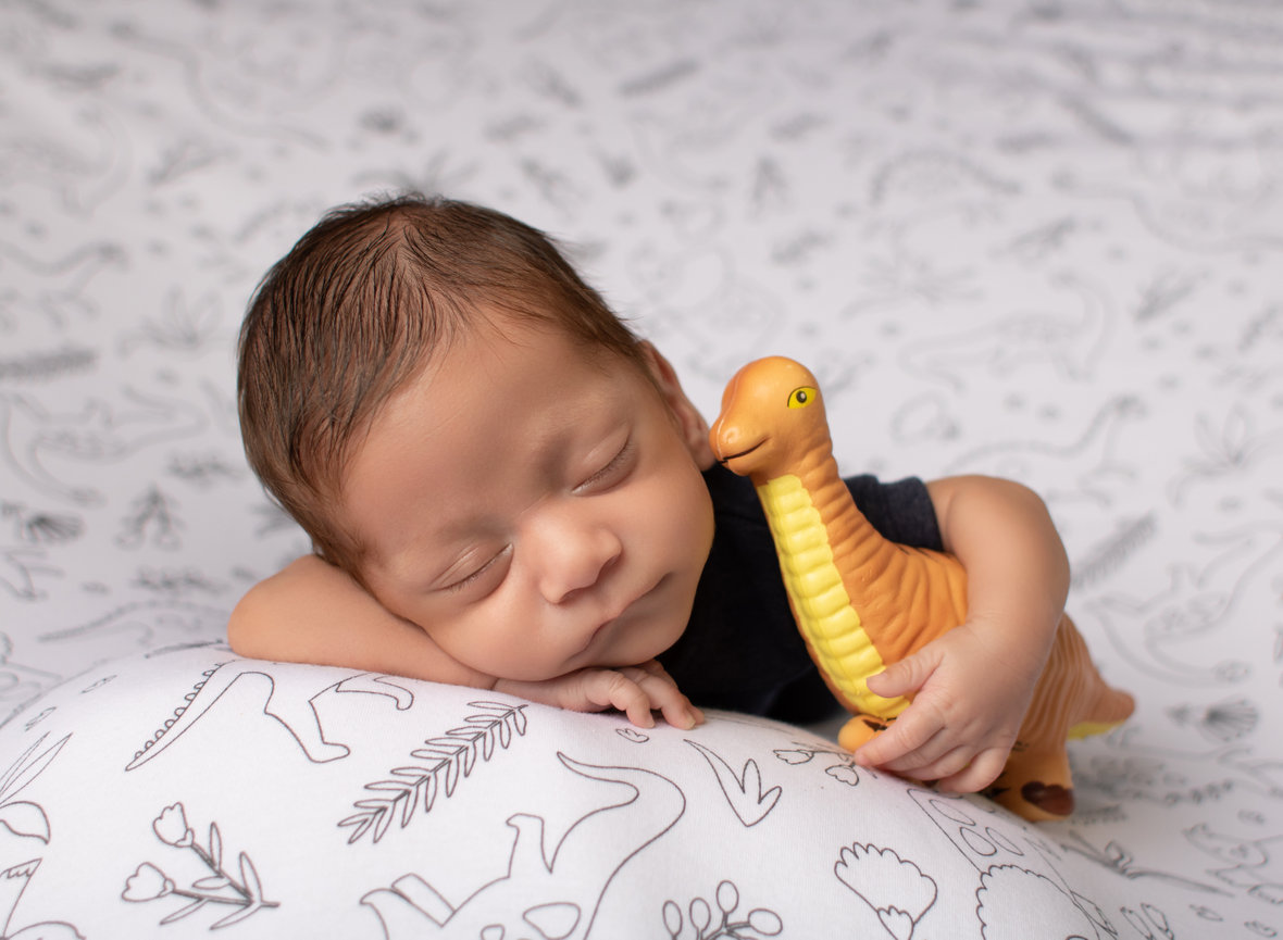 Newborn holding dinosaur in photo session Weslaco, TX