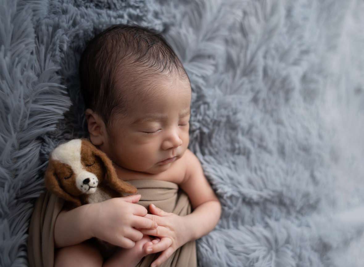 Newborn baby boy with puppy in Weslaco, TX