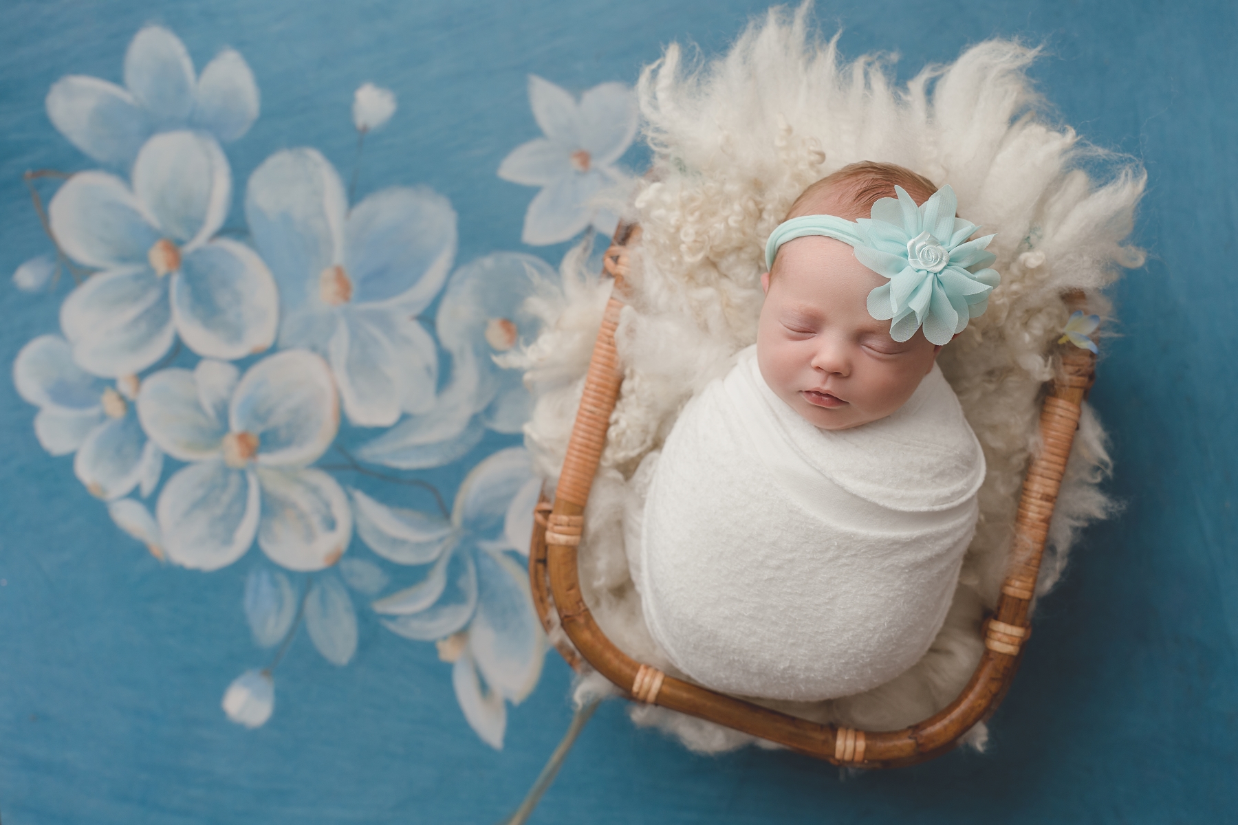 Raleigh Newborn Photographer