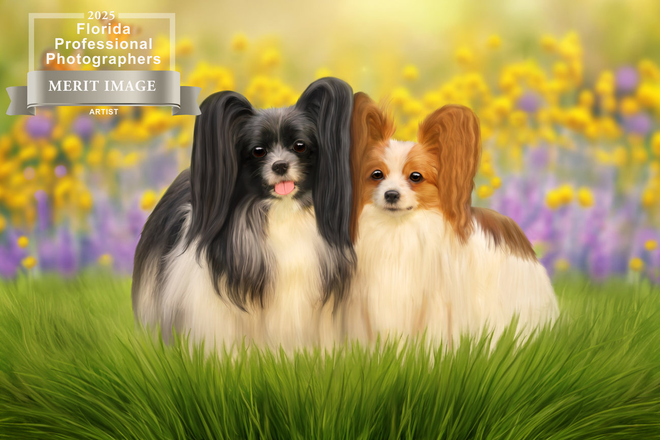 Two elegant Papillon dogs pose together in a vibrant field of flowers, showcasing their distinctive large ears.