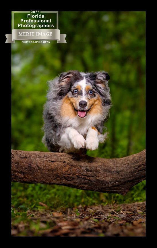 A fluffy dog leaps joyfully over a fallen log in a lush green setting.