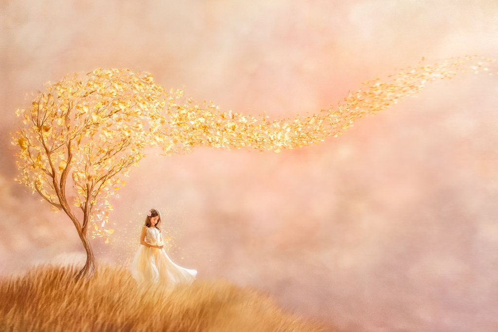 Dreams and wishes of a young girl - storybook images