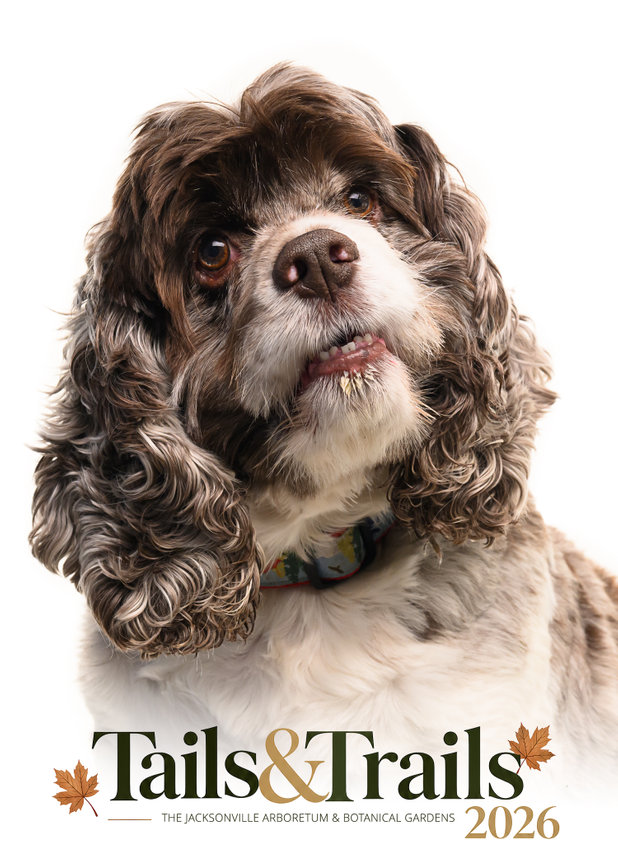 Tails and Trails 2026 dog portrait