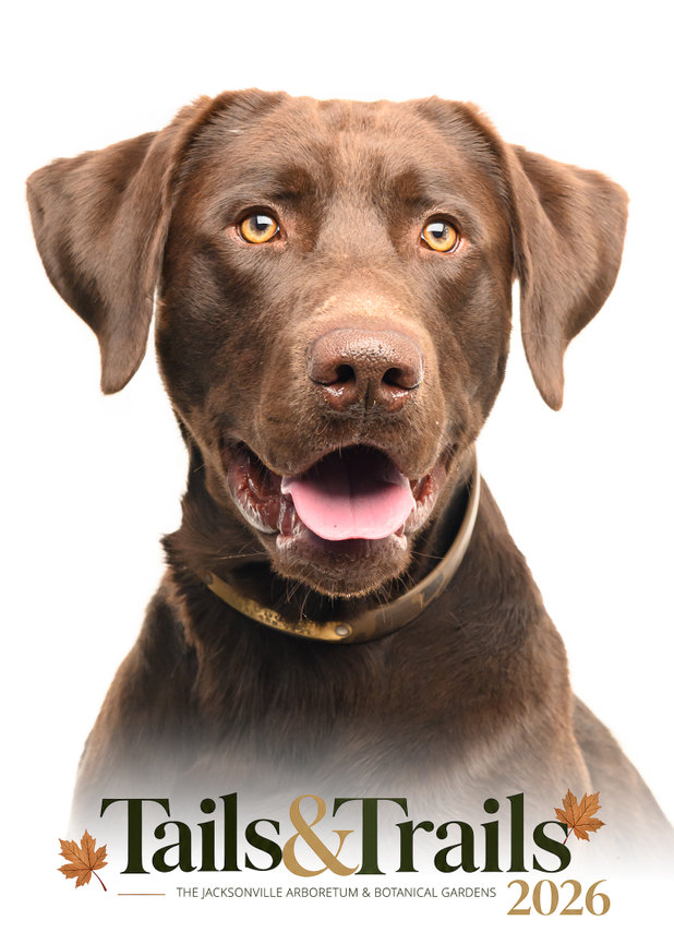 Tails and Trails 2026 dog portrait