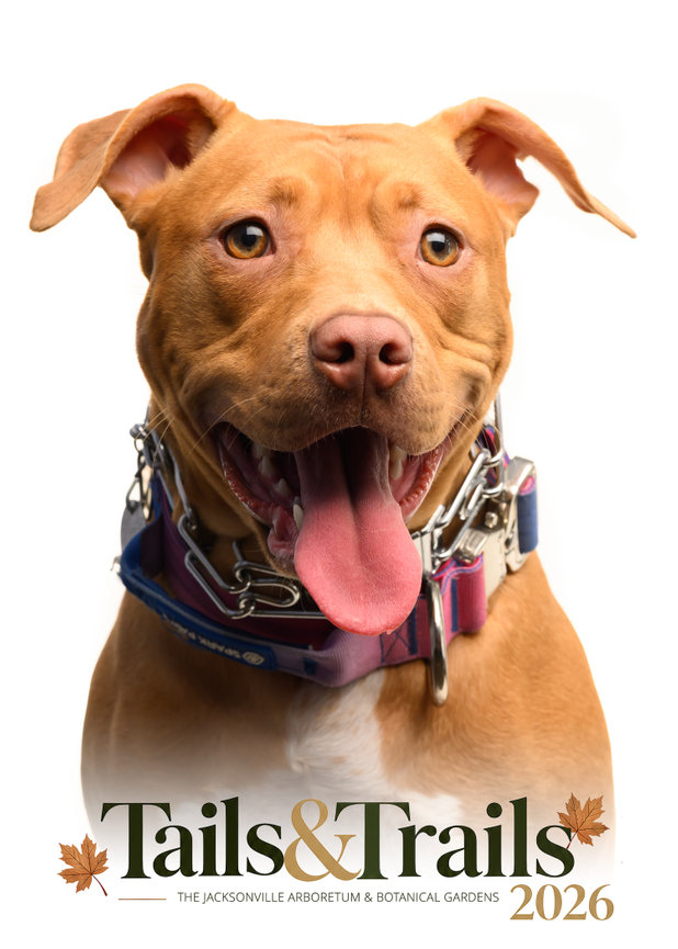 Tails and Trails 2026 dog portrait