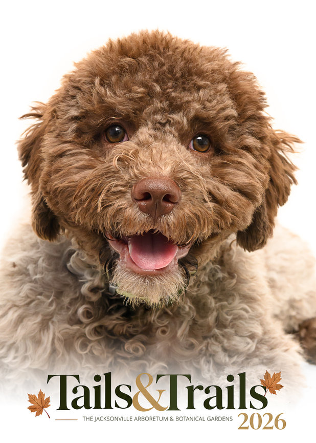 Tails and Trails 2026 dog portrait