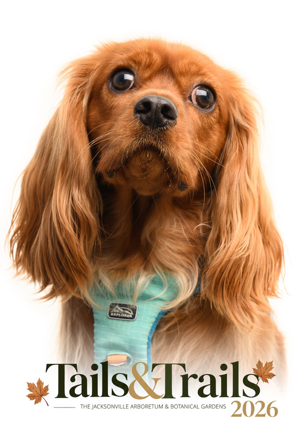 Tails and Trails 2026 dog portrait