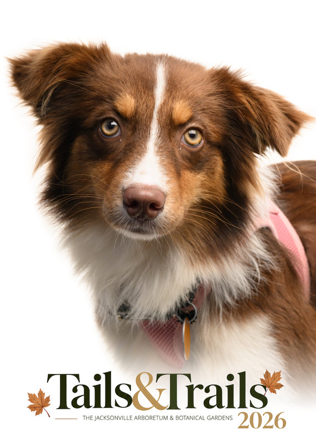 Tails and Trails 2026 dog portrait