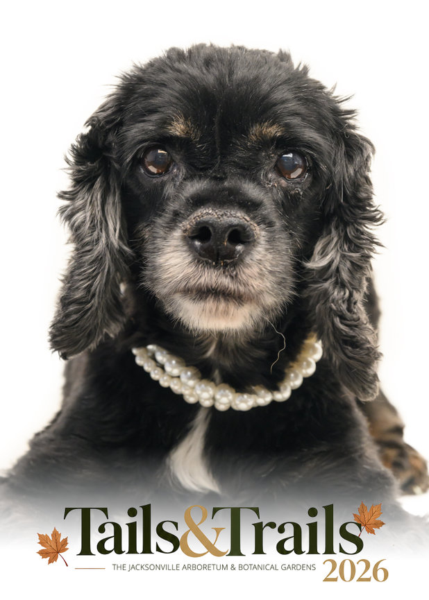 Tails and Trails 2026 dog portrait
