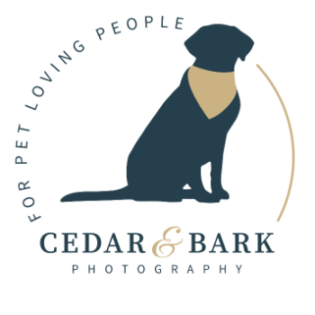 Cedar & Bark Photography Logo
