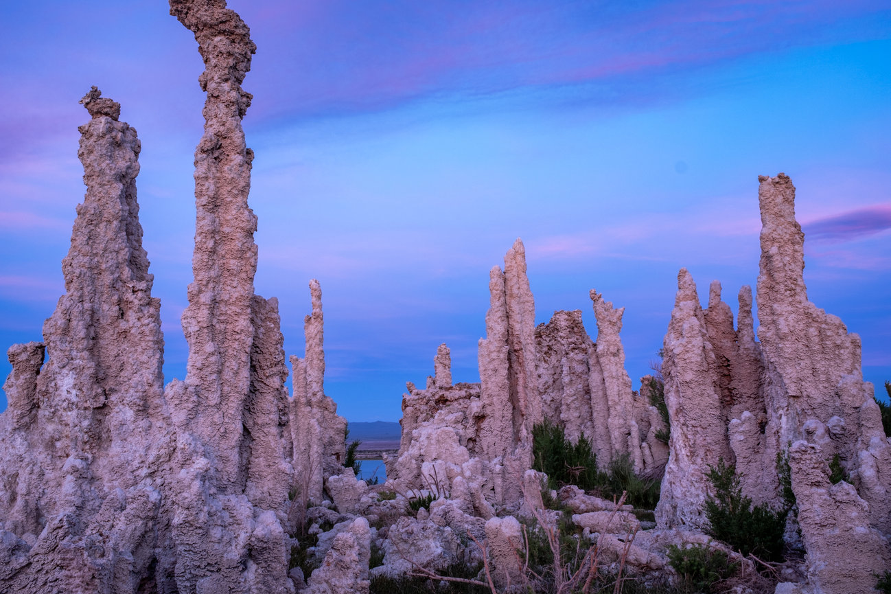 Tall spire like calcium tufa towers rise from the shoreline on the bank of Mono Lake at sunset with a pink blue sky.