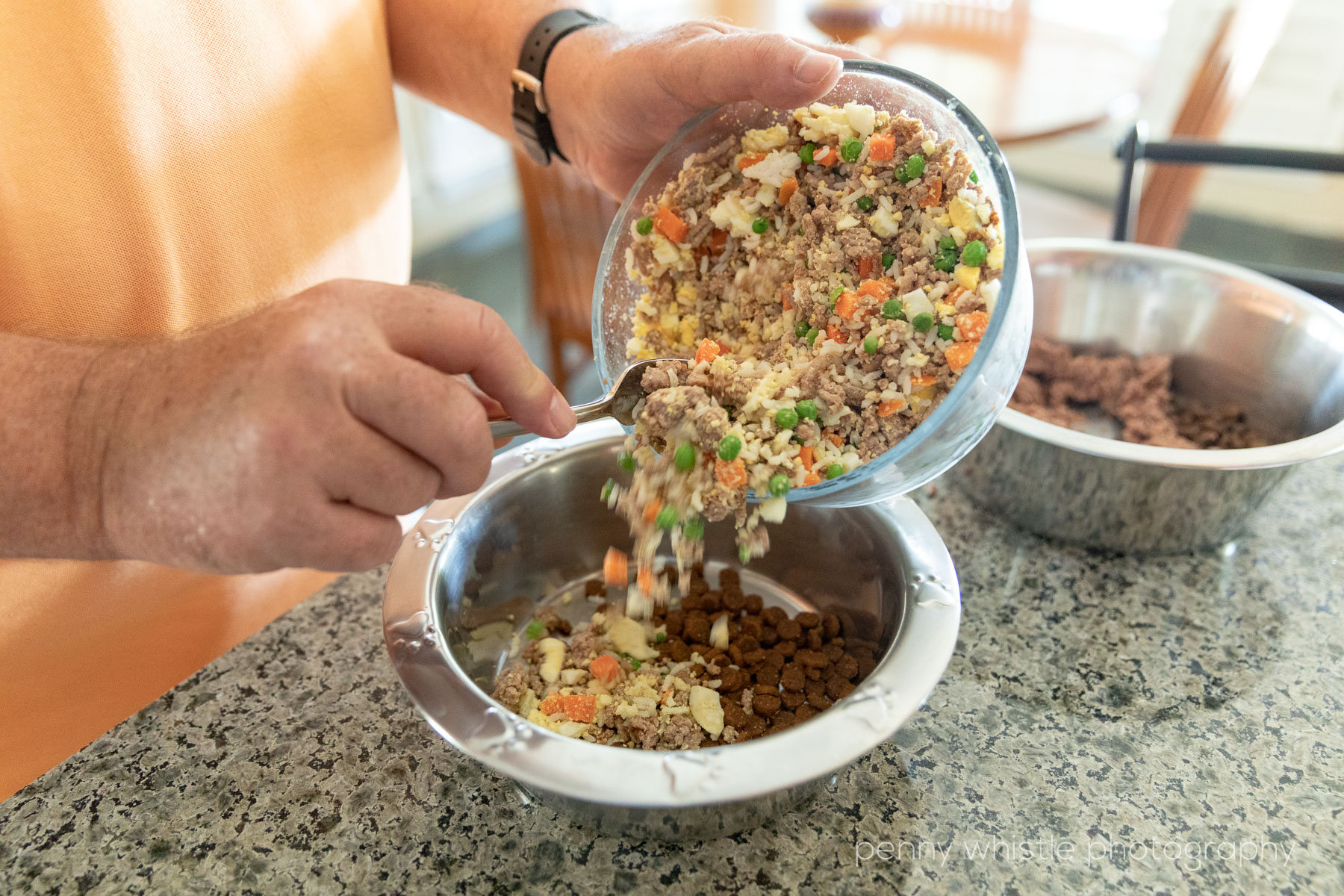 Homemade Dog Food For Your Picky Senior Pup