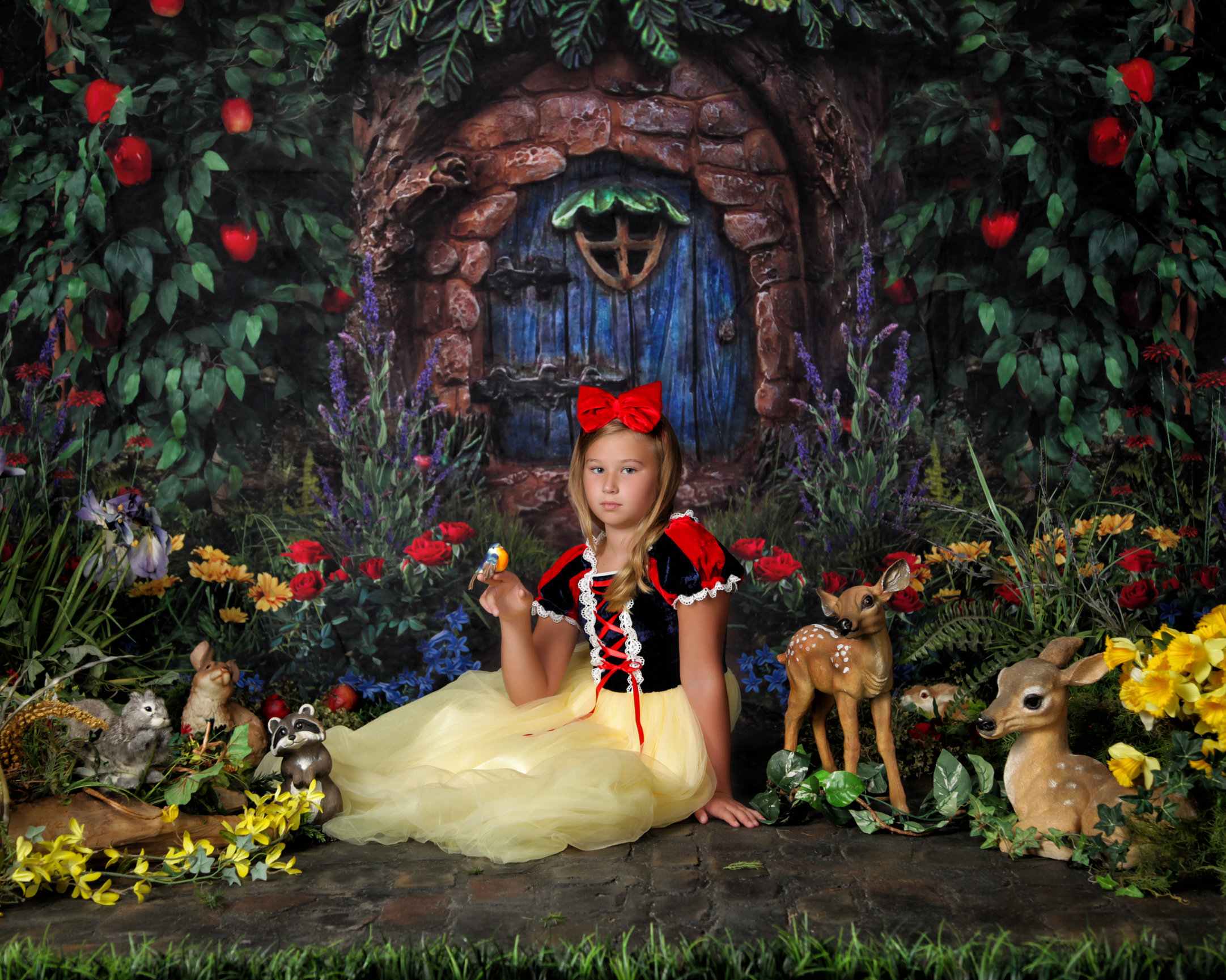 Princess Experience Heart's Desire Photography