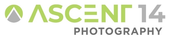 Catherine Faughnan Logo