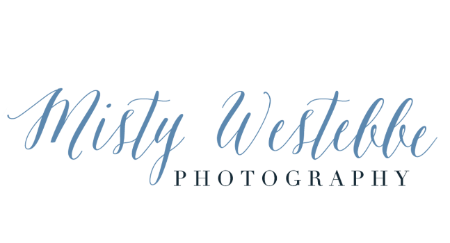 Misty Westebbe Logo