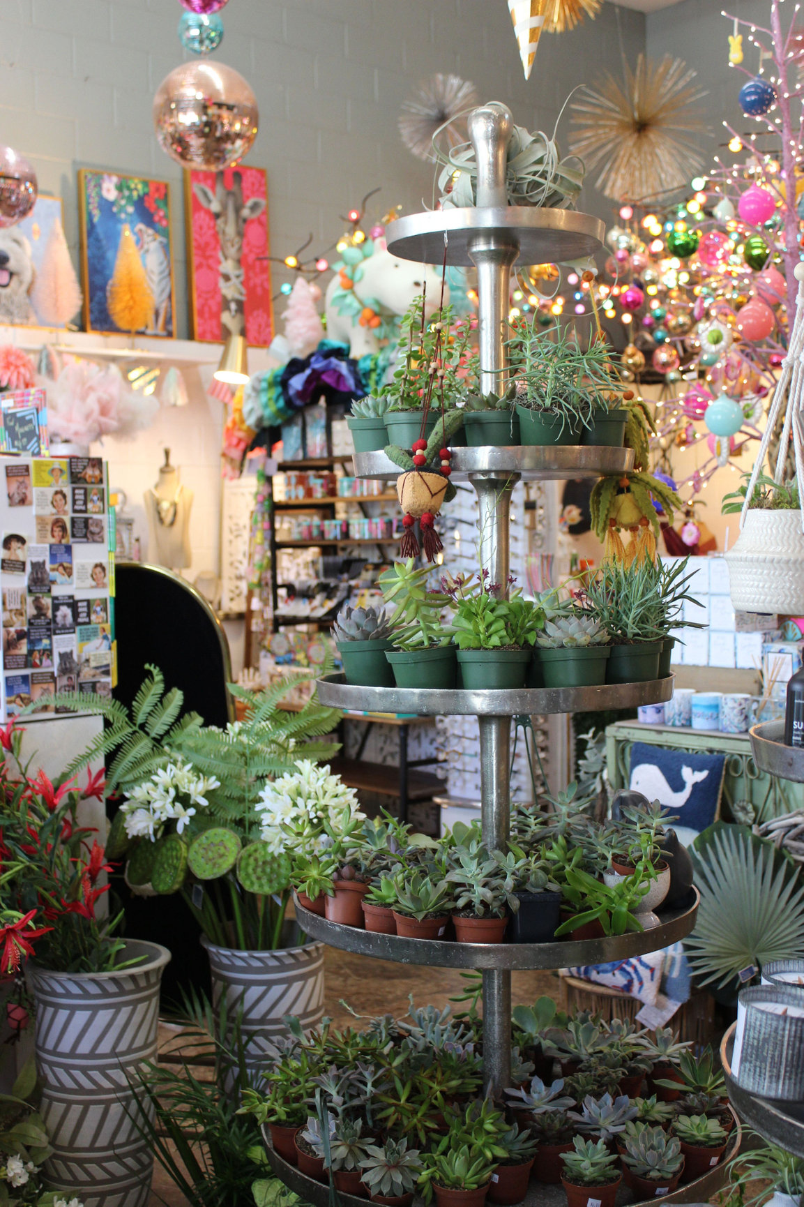 Charleston Floral & Gift Boutique Charleston Flower Market