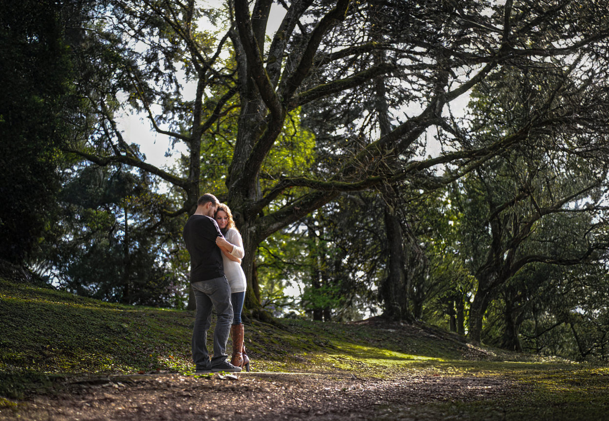 Couple embracing under large trees in a wooded park.