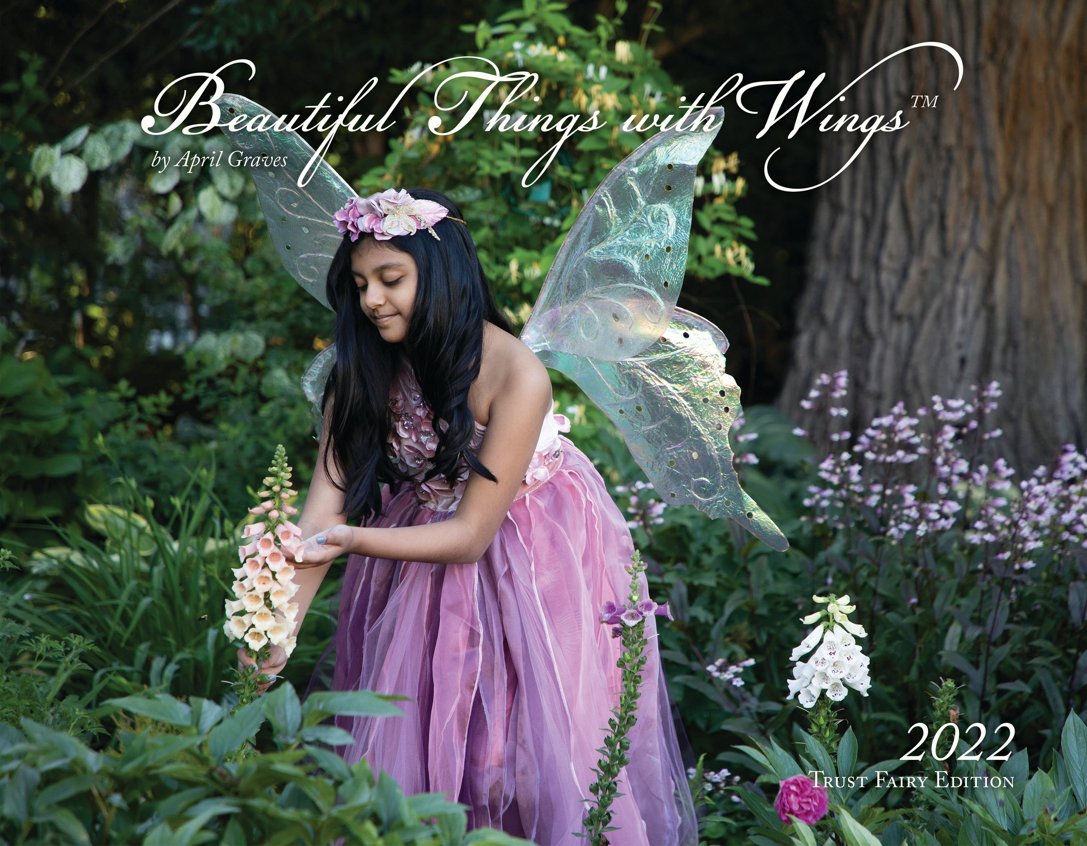 STORE Light Drawn Studios