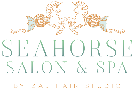 Zaj Hair Studio, Inc. Logo