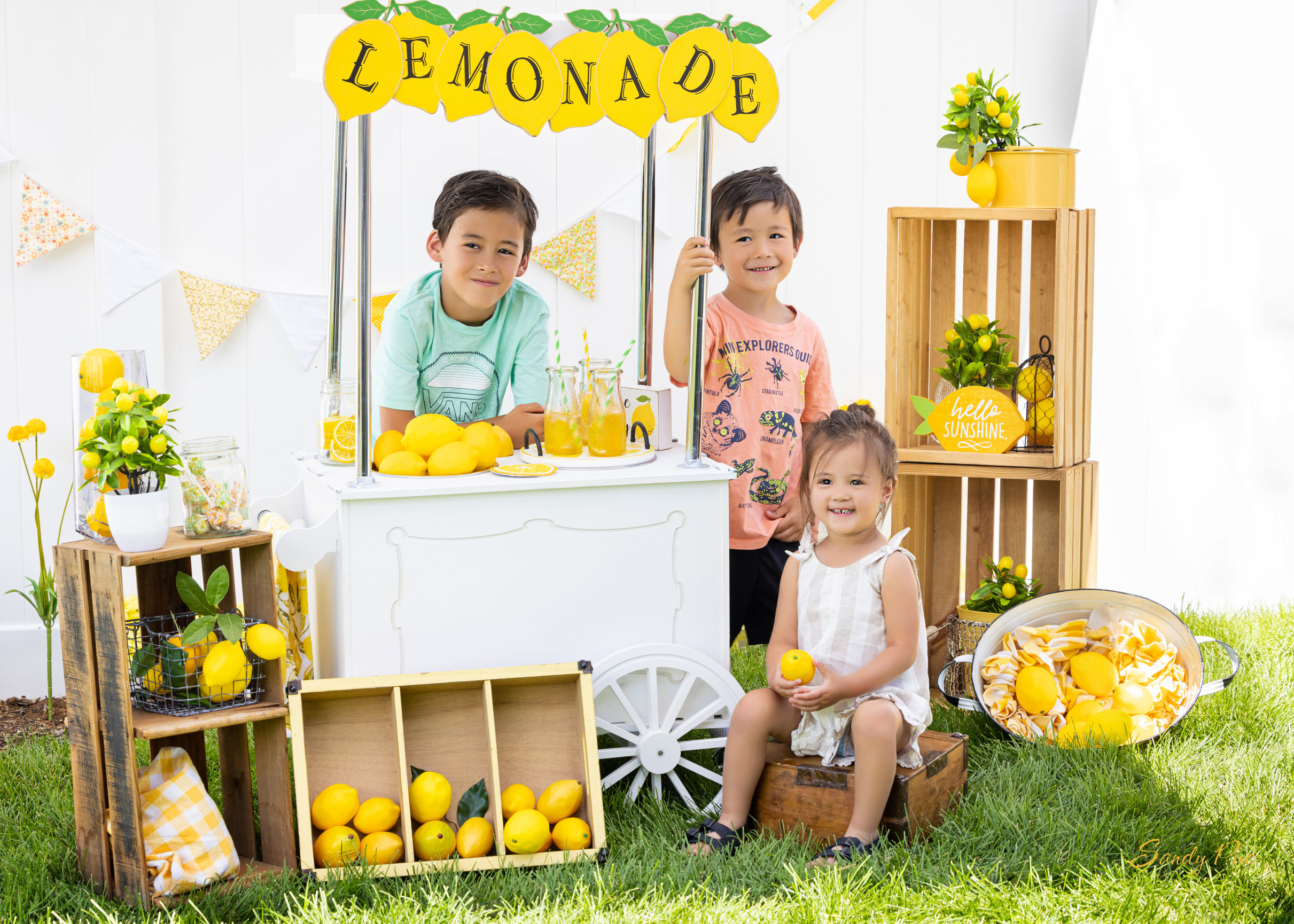 Lemonade Stand