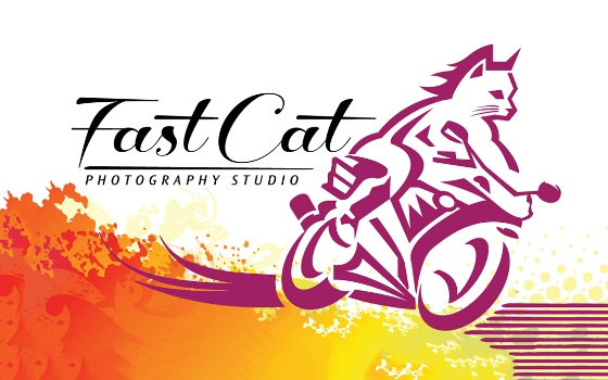 FastCat Studio LLC Logo