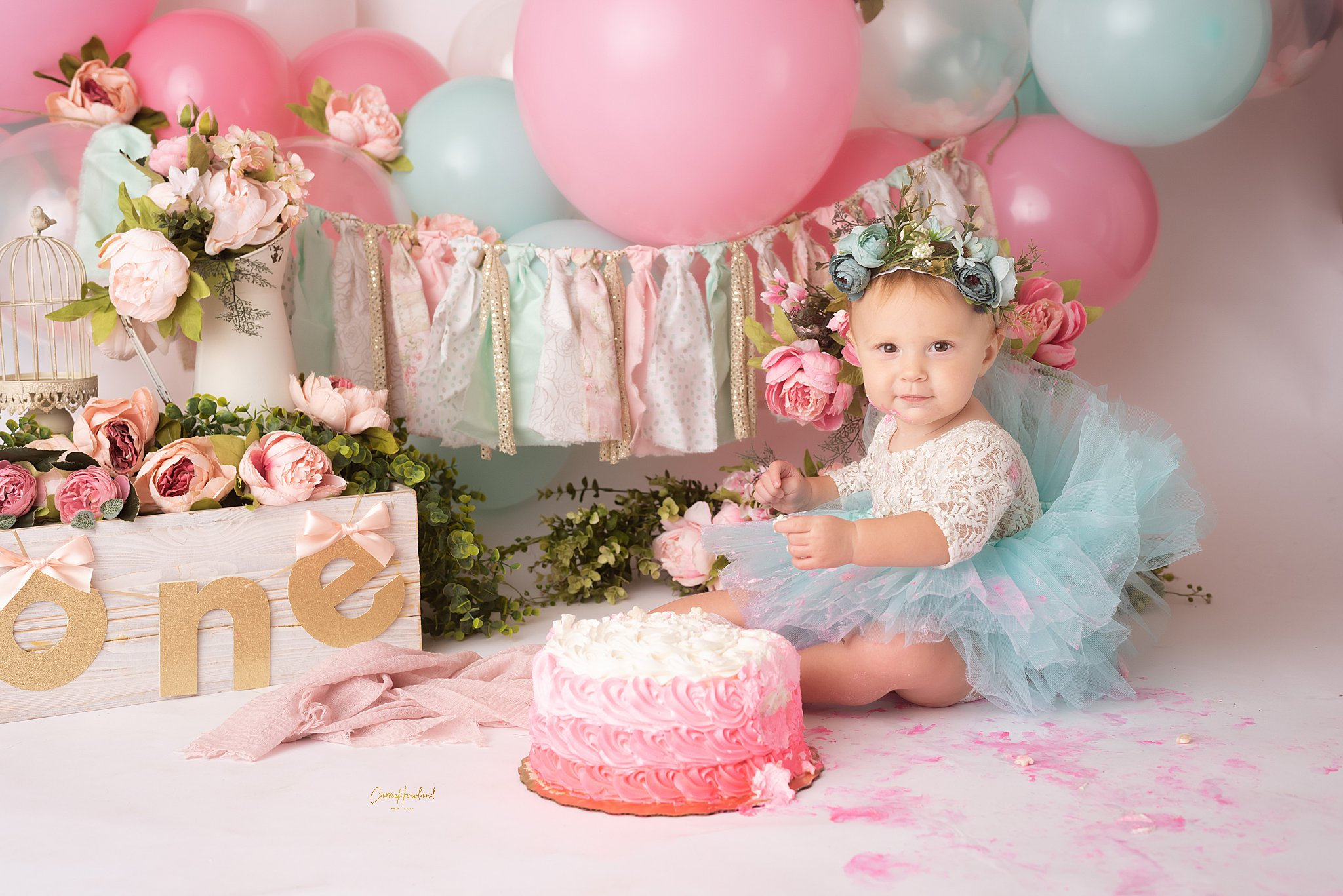 The Sweetest Baby Girl  First Birthday Cake Smash in Charlotte Area
