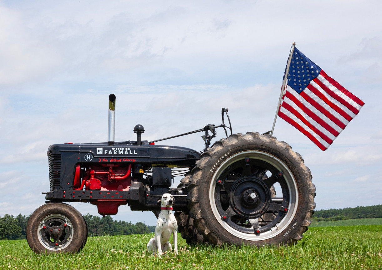 Restored vintage Farmall tractor with Dalmatian and American flag in Wisconsin field