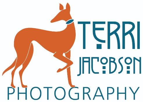 Terri Jacobson Photography Logo