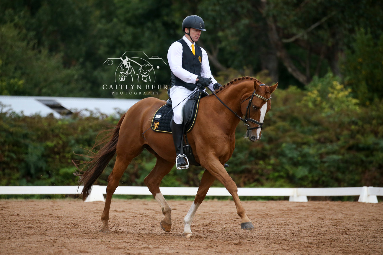 dressage photography