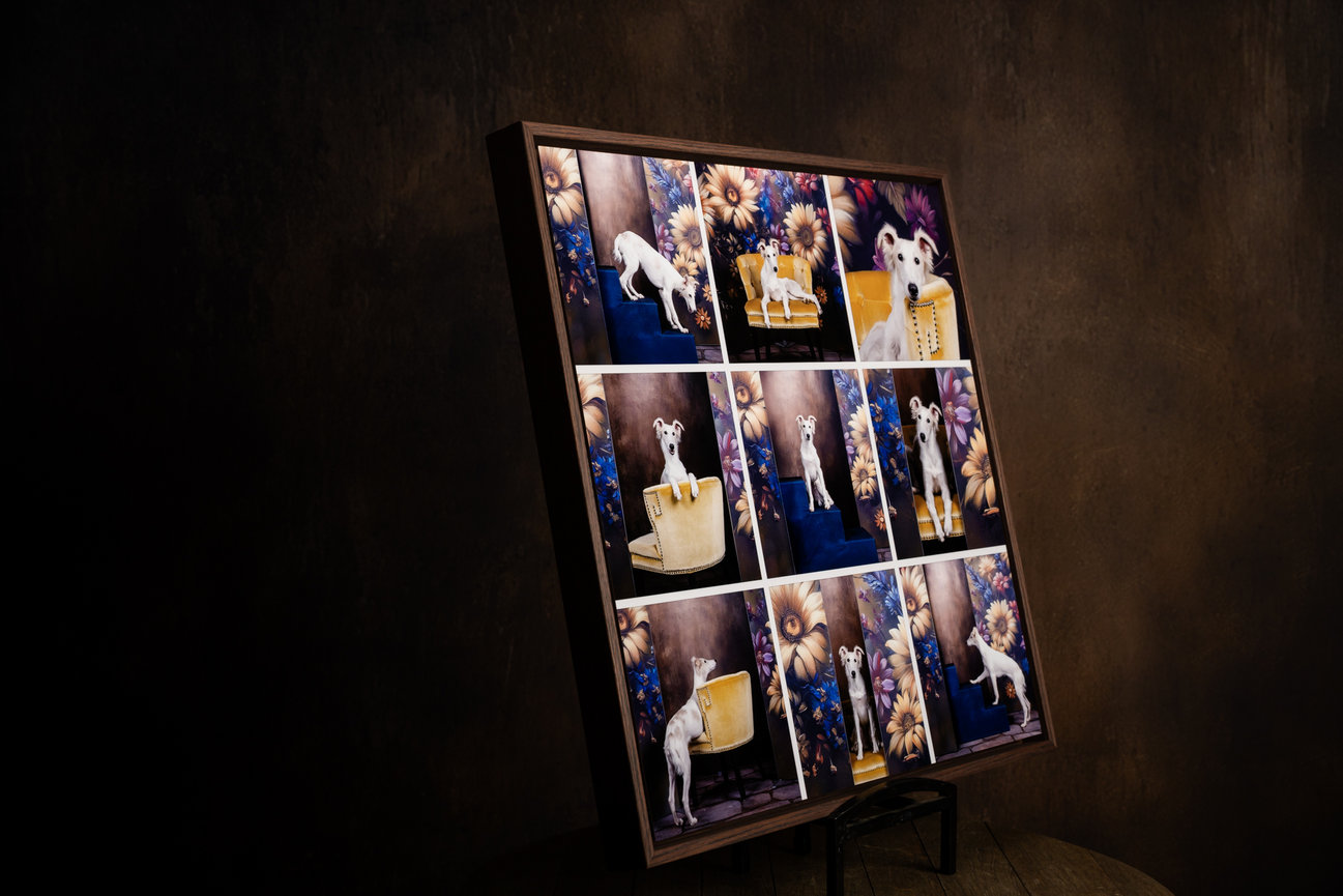 dog portrait storyteller collage wall art showing multiple images from a pet photography session