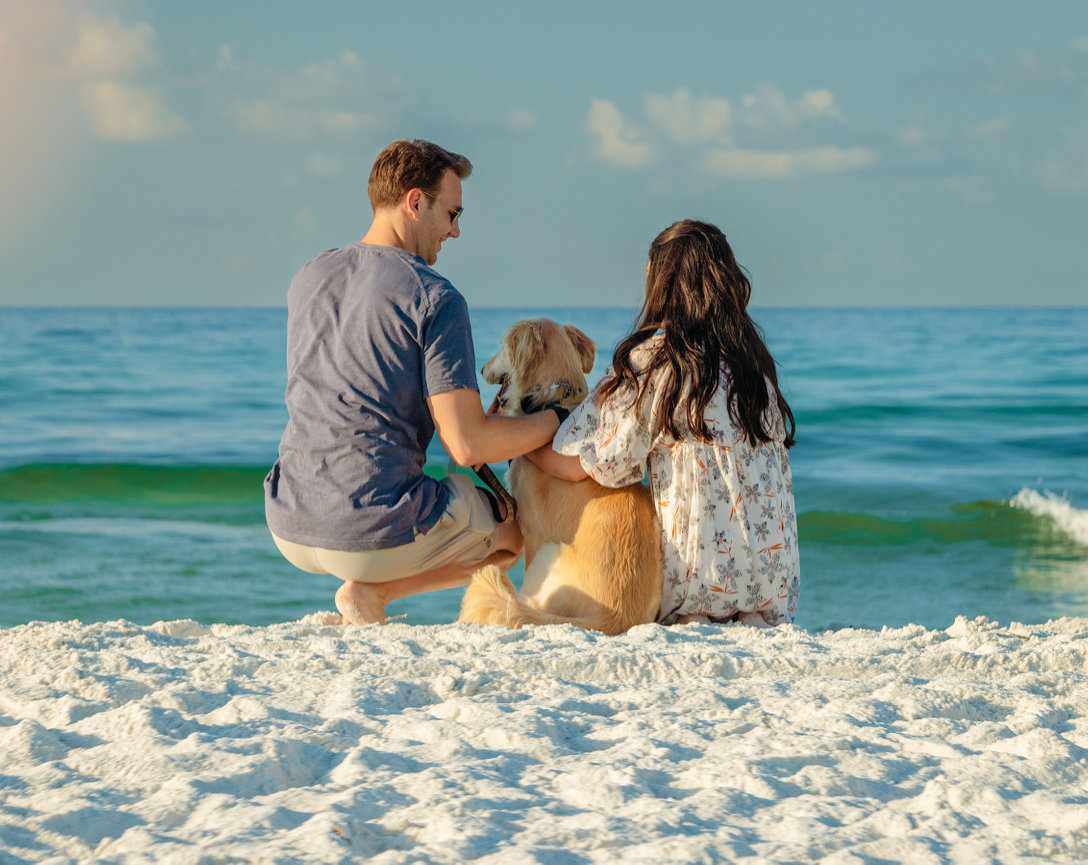 A couple with a dog sitting on a sandy beach, facing the ocean under a clear sky.