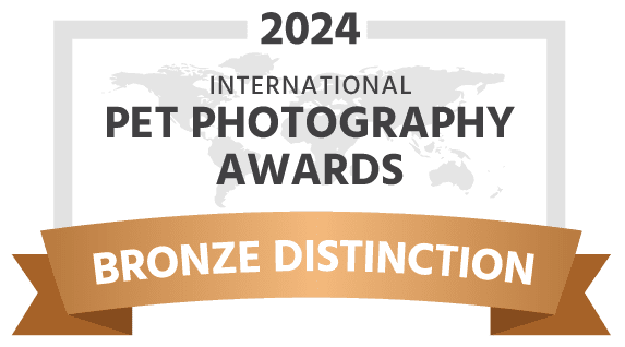 2024 International Pet Photography Awards - Bronze Distinction