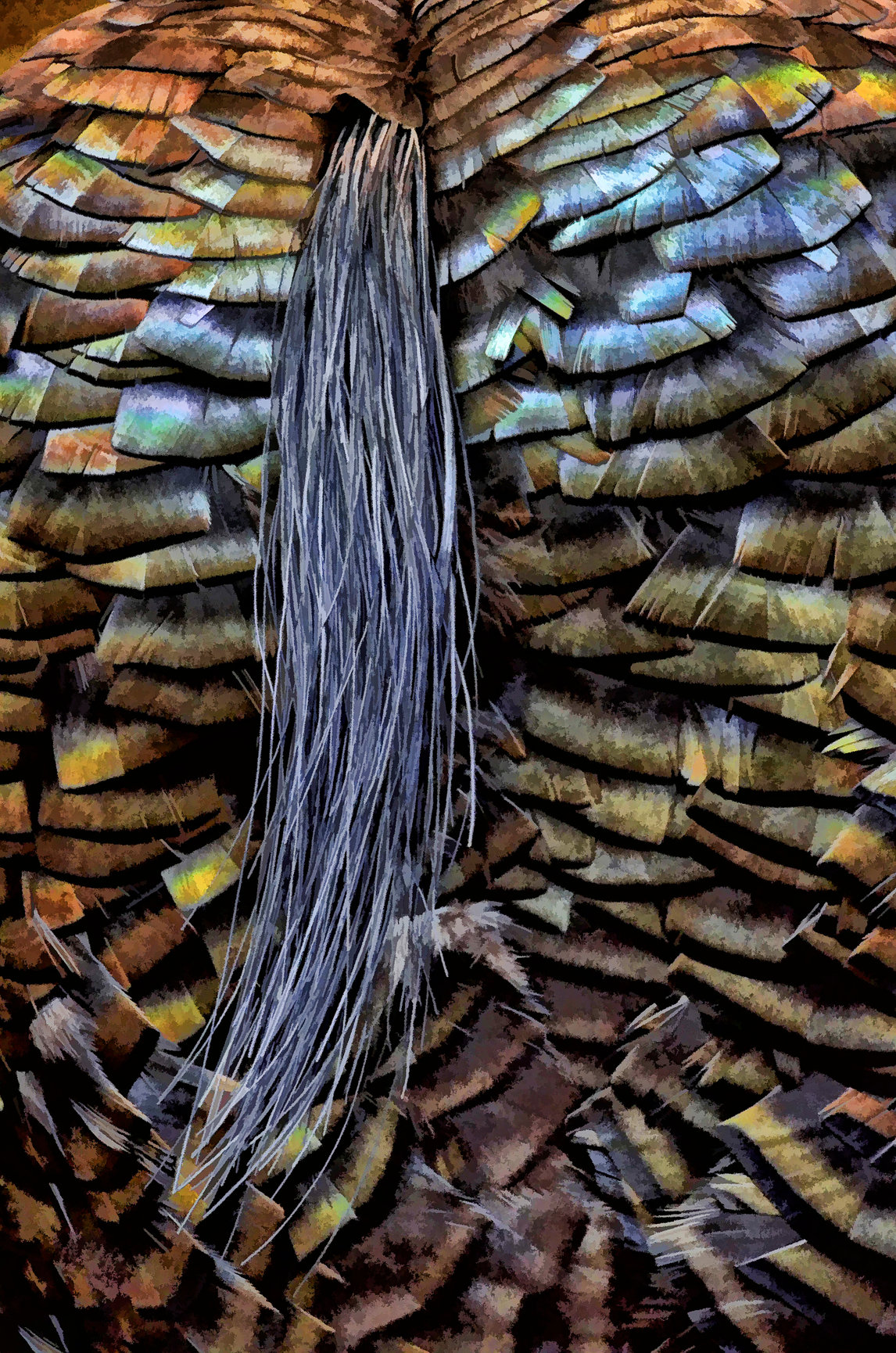 Turkey Beard Mike Moats Award Winning Macro Photographer